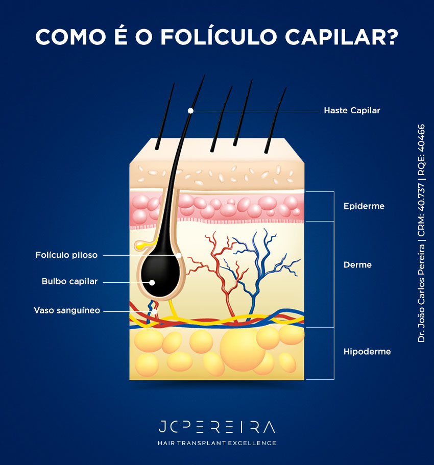 Folículo Capilar: O que É E Como Cuidar?